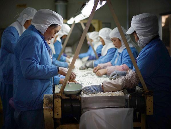 萬力貿易員工風采