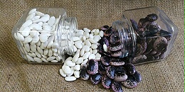 萬力貿易蕓豆合作案例